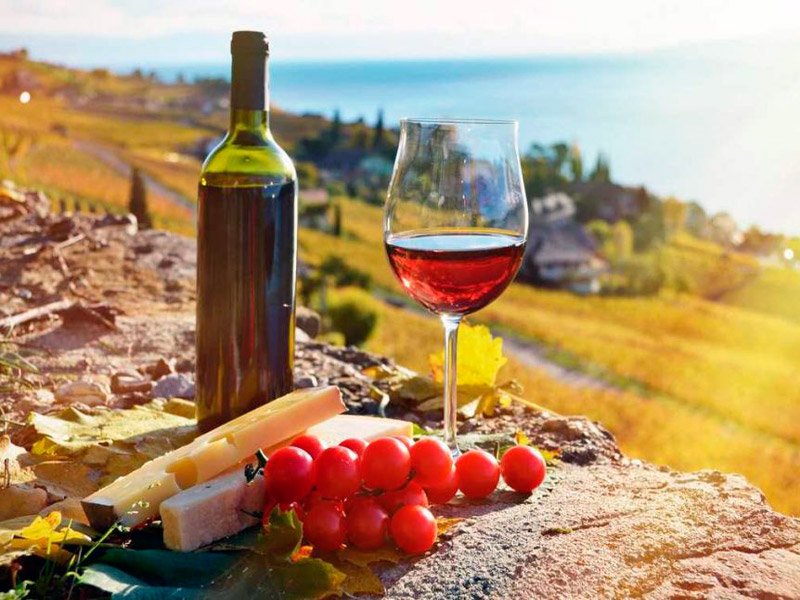 Bottle and glass of red wine with cheese and tomatoes on a stone overlooking vineyards